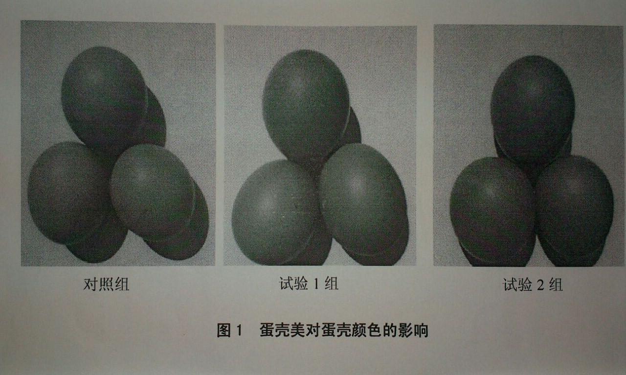 KU酷游官网-不凡成就非凡,相信品牌力量
